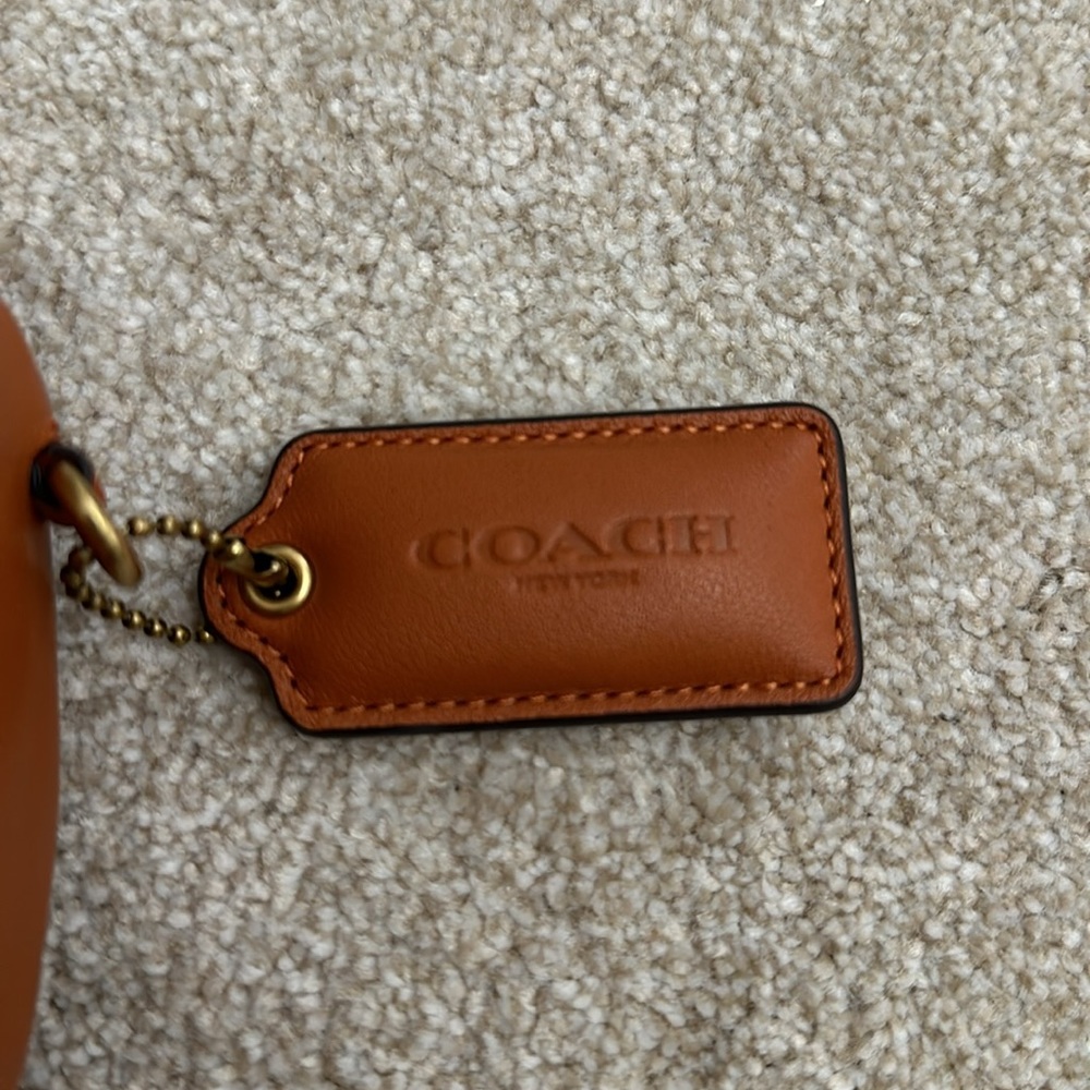SOLD Coach Pillow Madison 18 Canyon Crossbody - Picture 6 of 8
